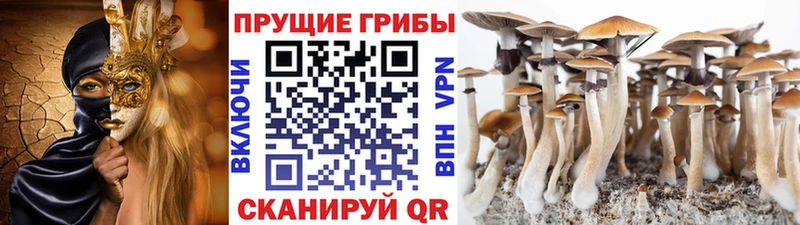 Псилоцибиновые грибы ЛСД Красноуральск
